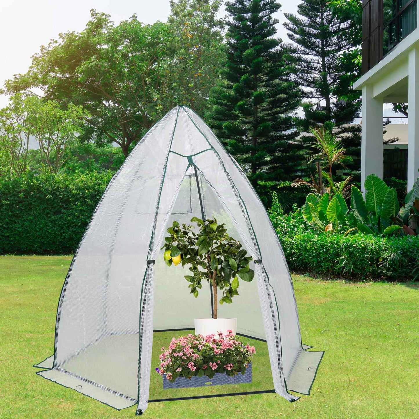 Wintering tent for plants