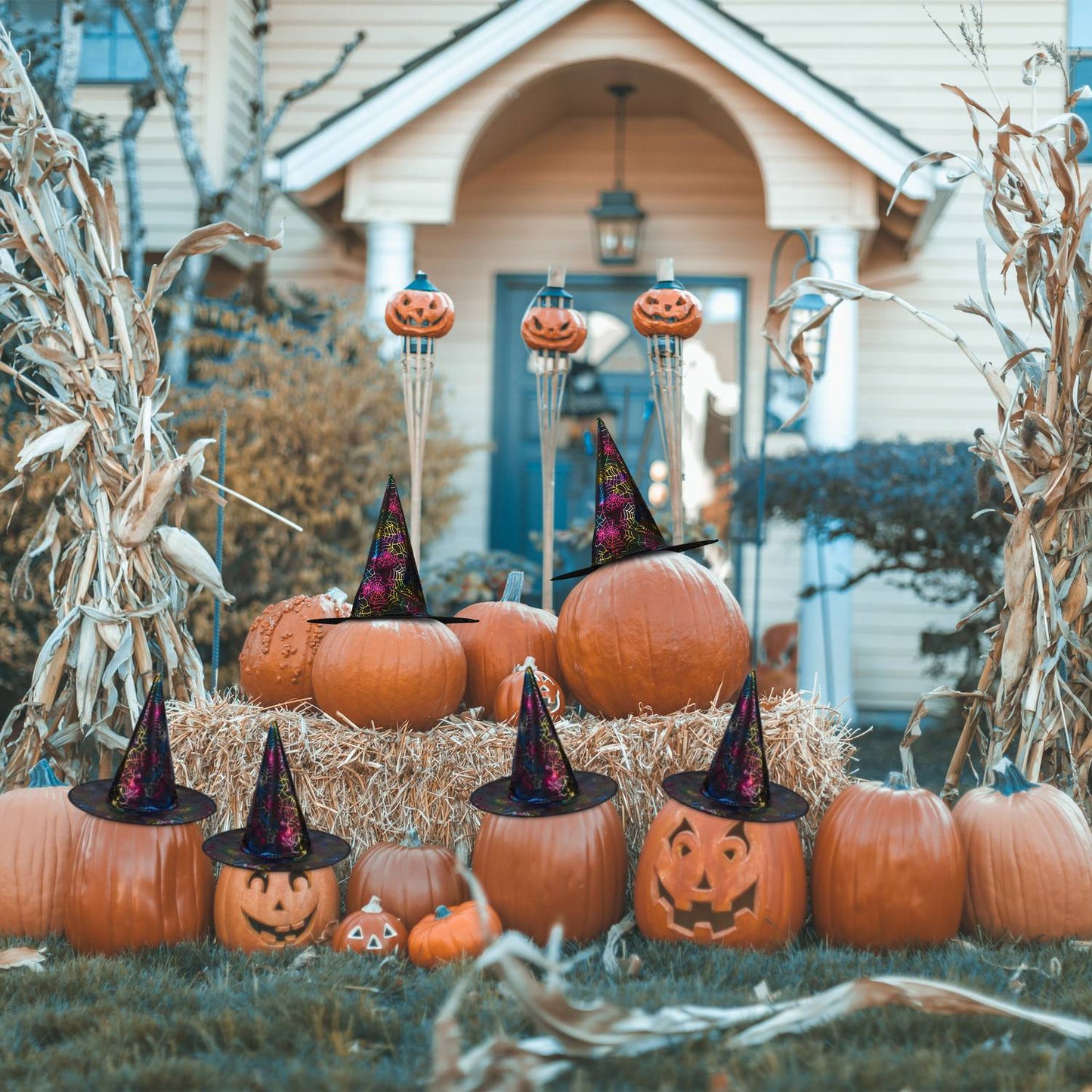 Witch's hat with cobwebs 6-pack
