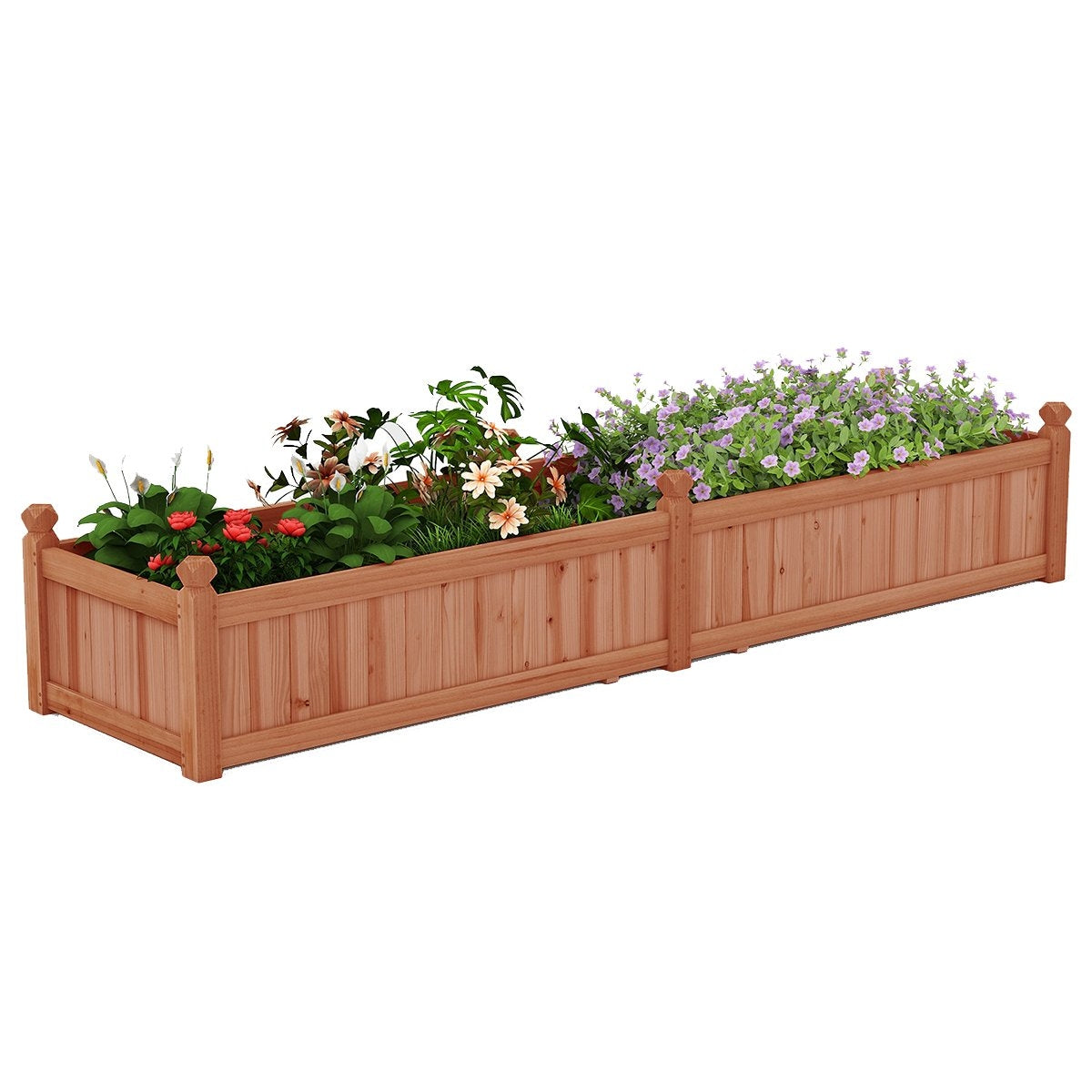 Wood Raised Garden Bed with Dividers, Drainage, 227x59.5x40 cm