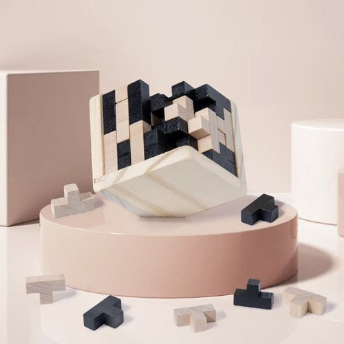 Wooden Brain Teaser Puzzle