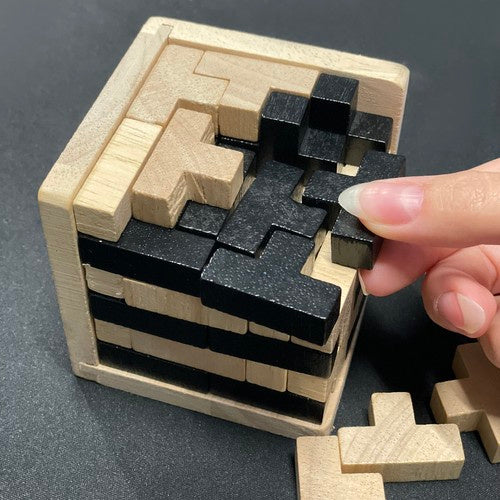 Wooden Brain Teaser Puzzle