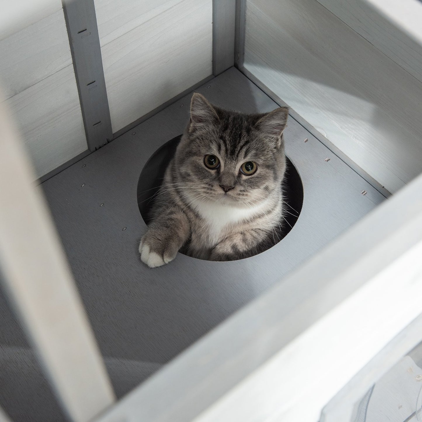 Outdoor wooden cat house with stairs for small cats