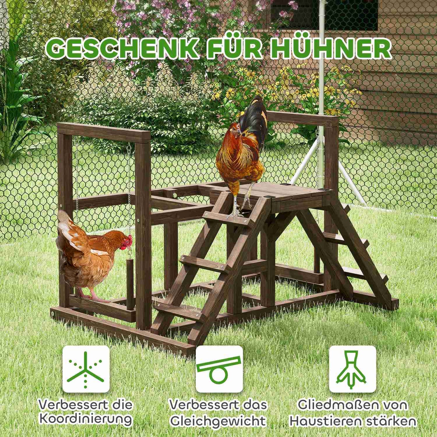 Wooden chicken play frame with perches and swing