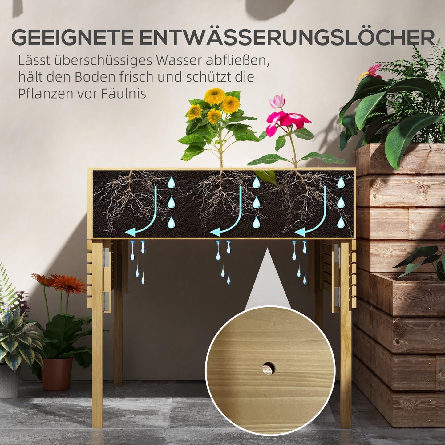 Raised wooden garden bed with 12 dividers and cold frame