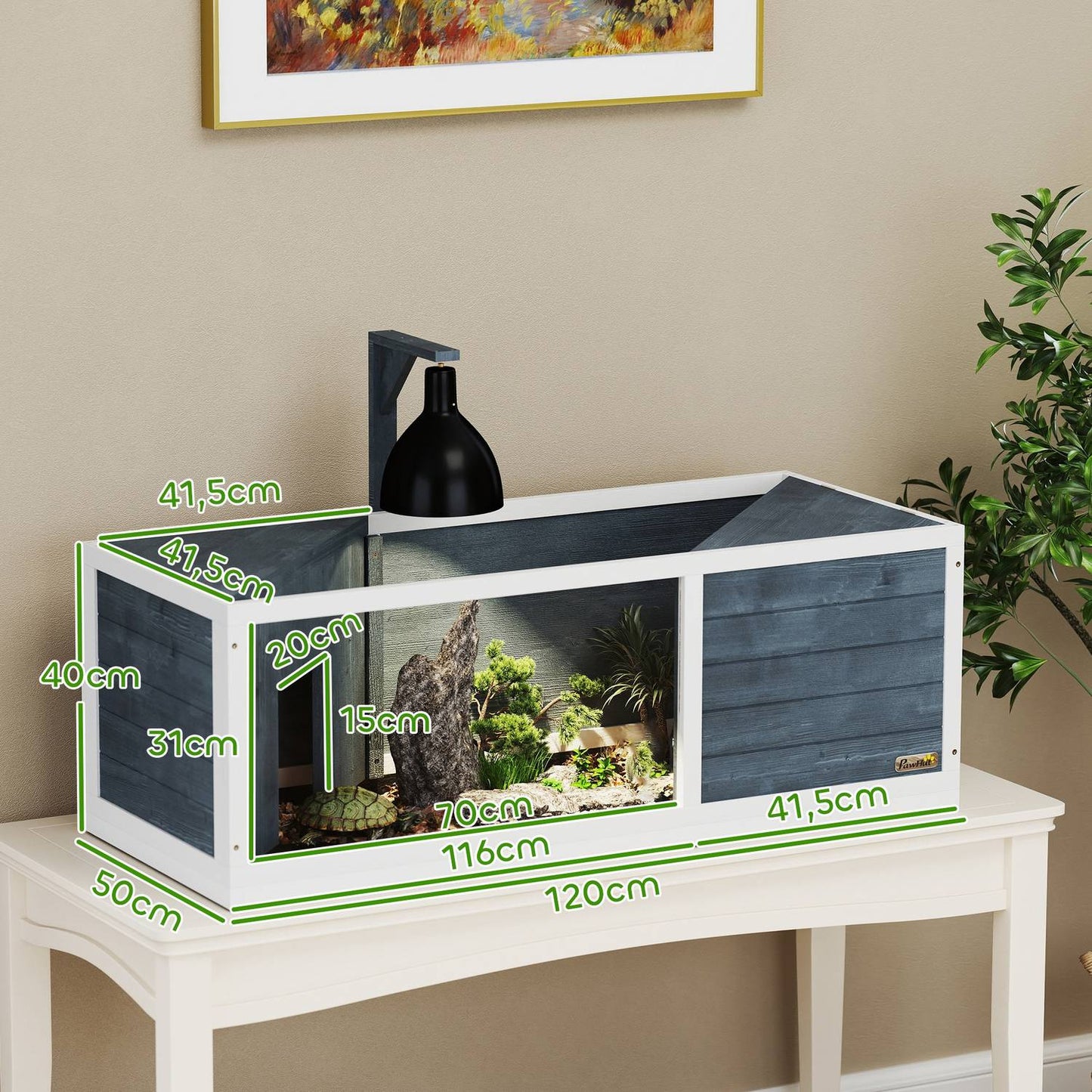 Tortoise cabinet in wood with hinged lid - 120x50x40 cm