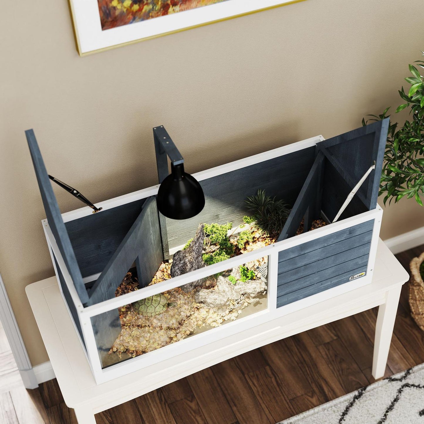 Tortoise cabinet in wood with hinged lid - 120x50x40 cm