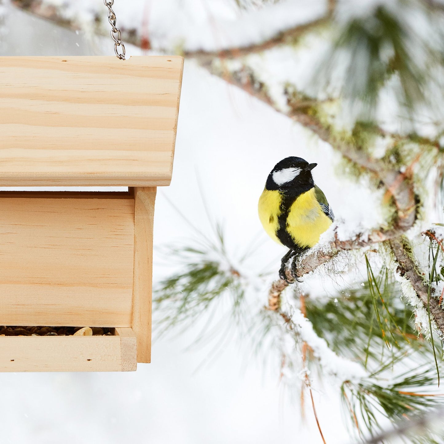 Wooden bird feeder