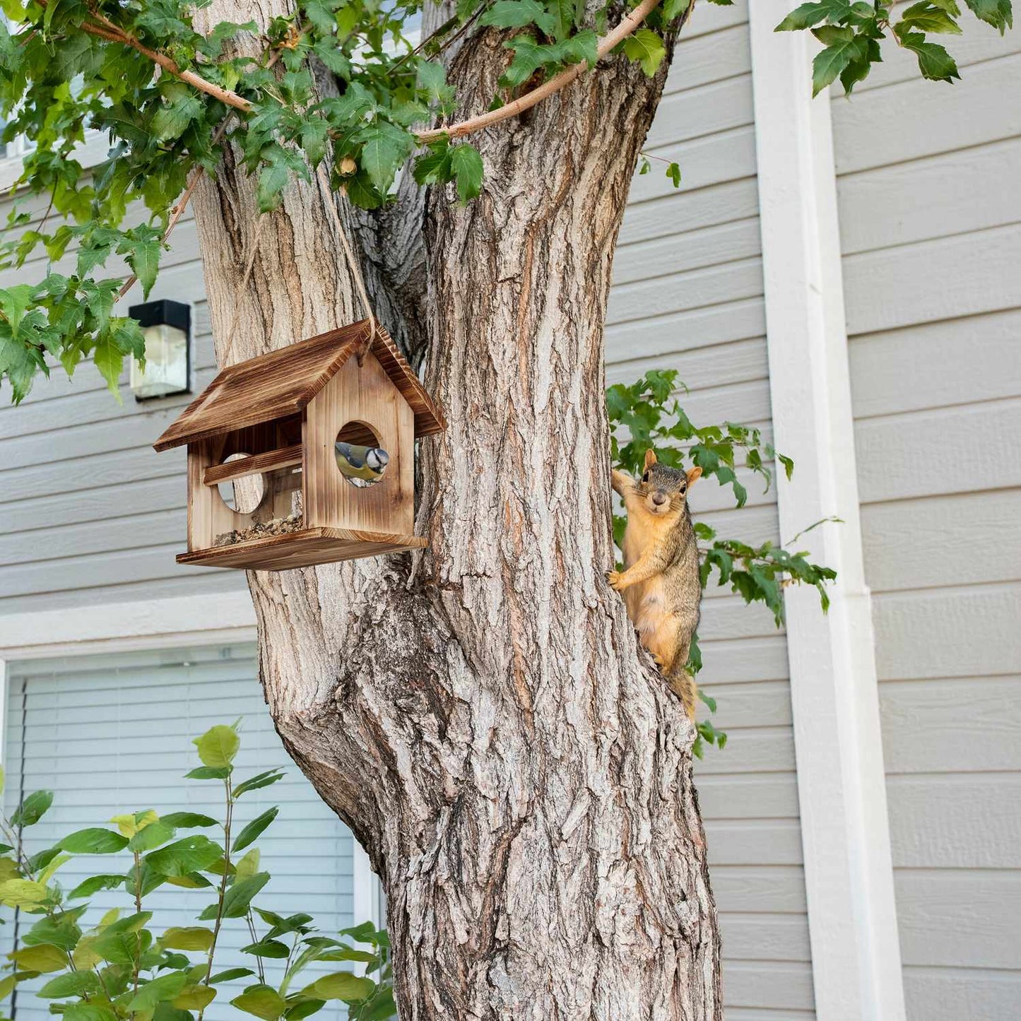 Wooden bird feeder