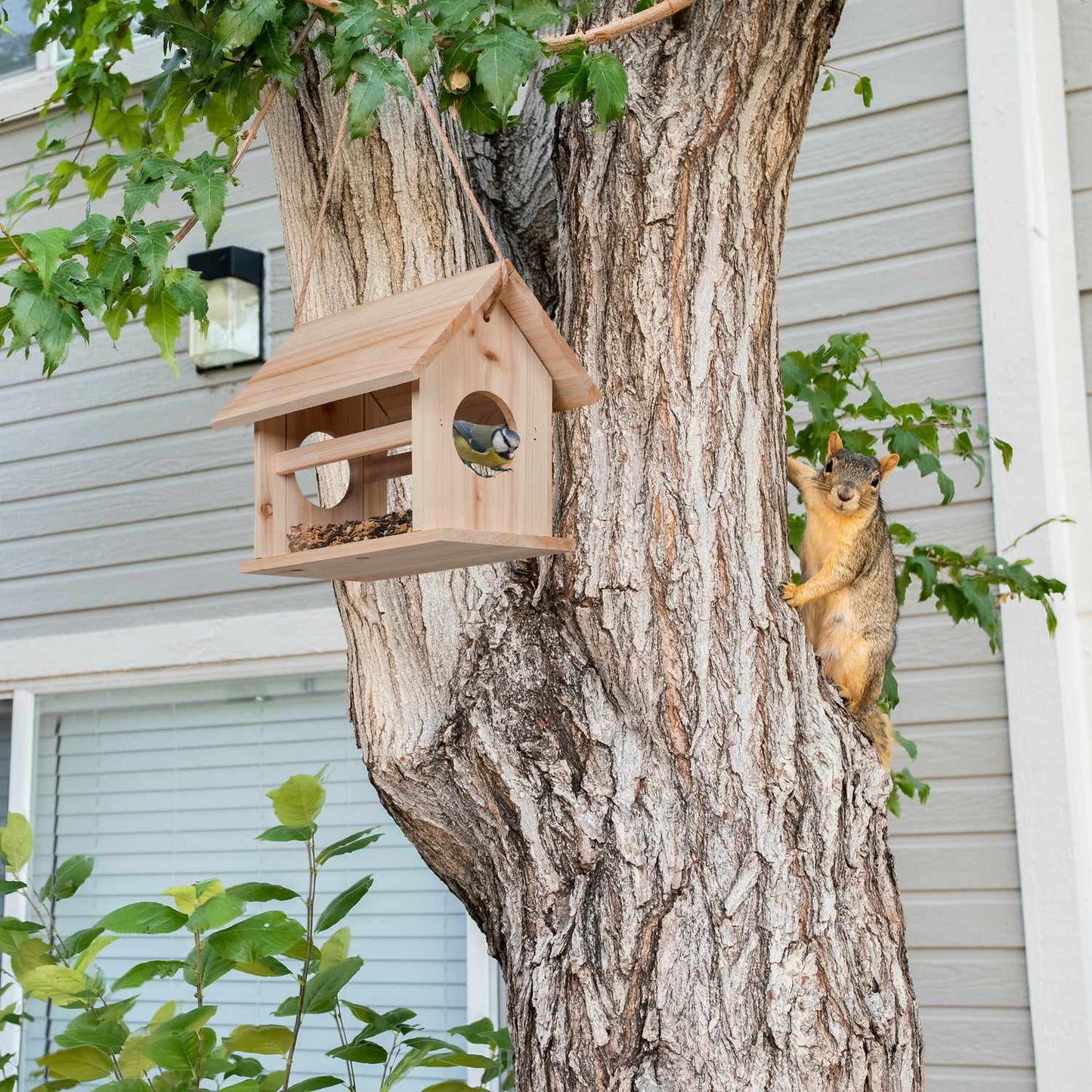 Wooden bird feeder