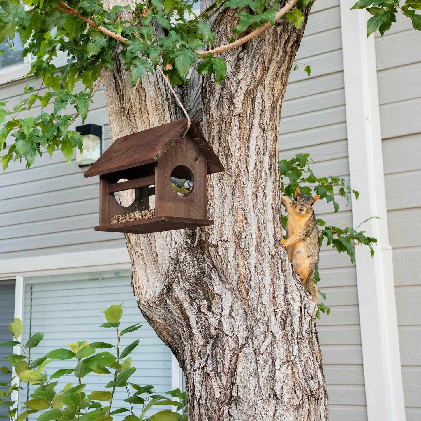 Wooden bird feeder