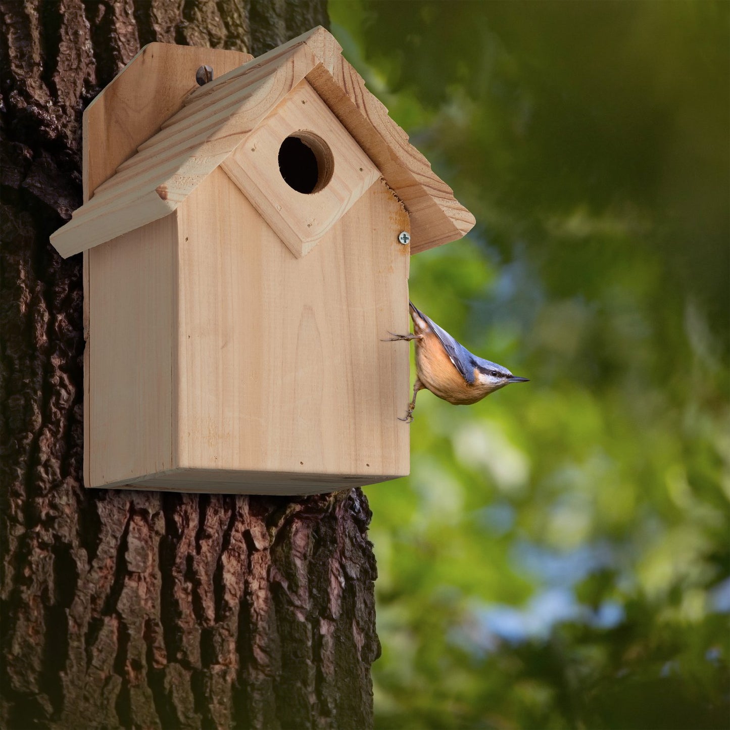 Wooden birdhouse