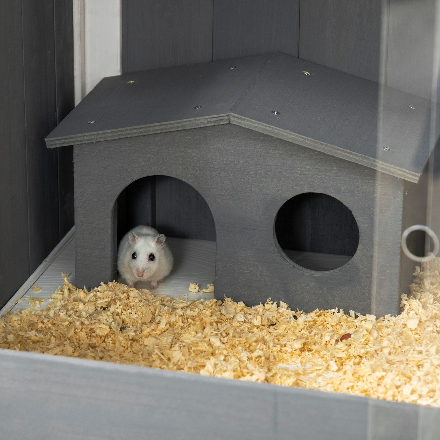 Dwarf hamster cage in wood with huts and accessories, 82cm