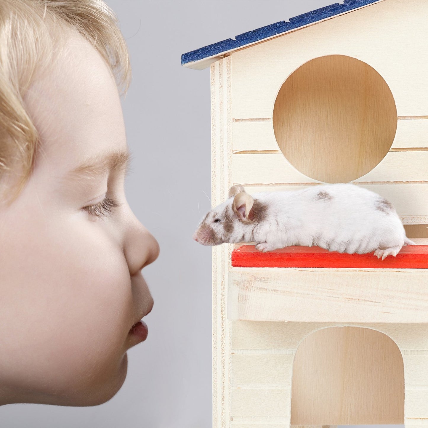 Wooden hamster house