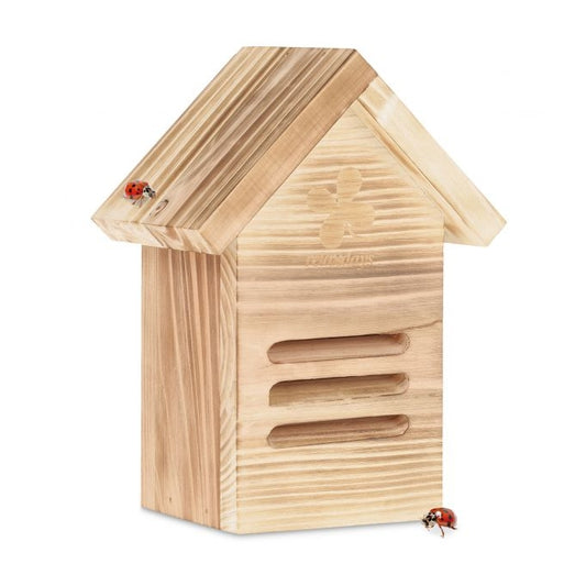Wooden ladybug house