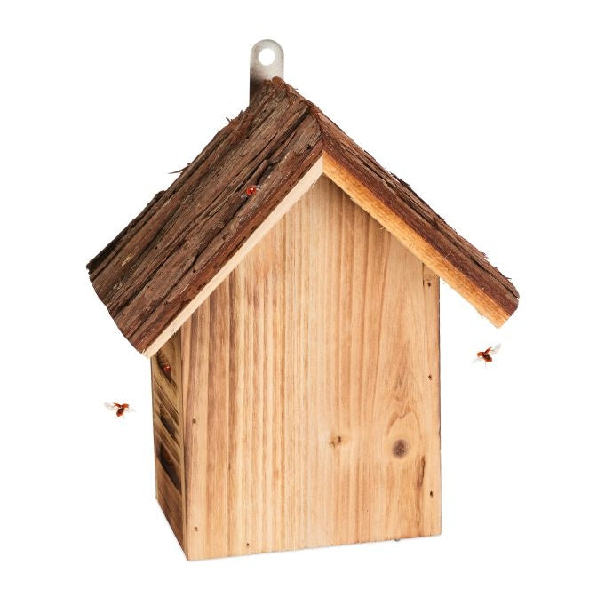 Wooden ladybug house