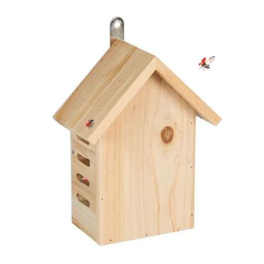 Wooden ladybug house