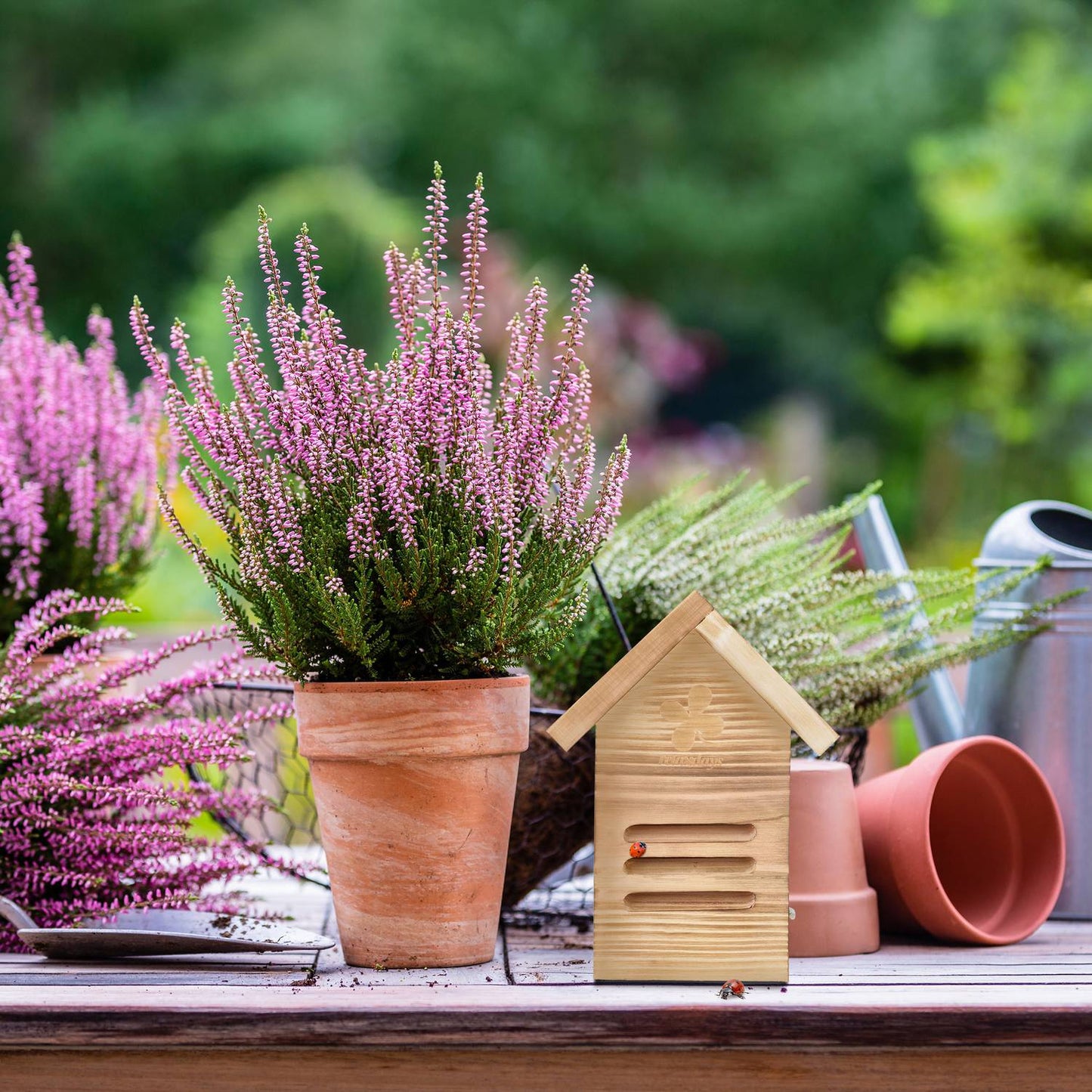 Wooden ladybug house