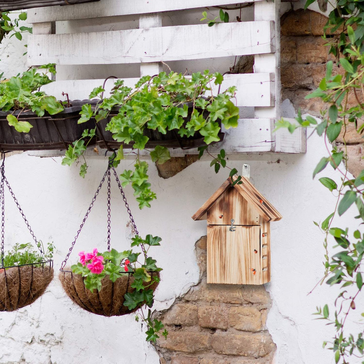 Wooden ladybug house