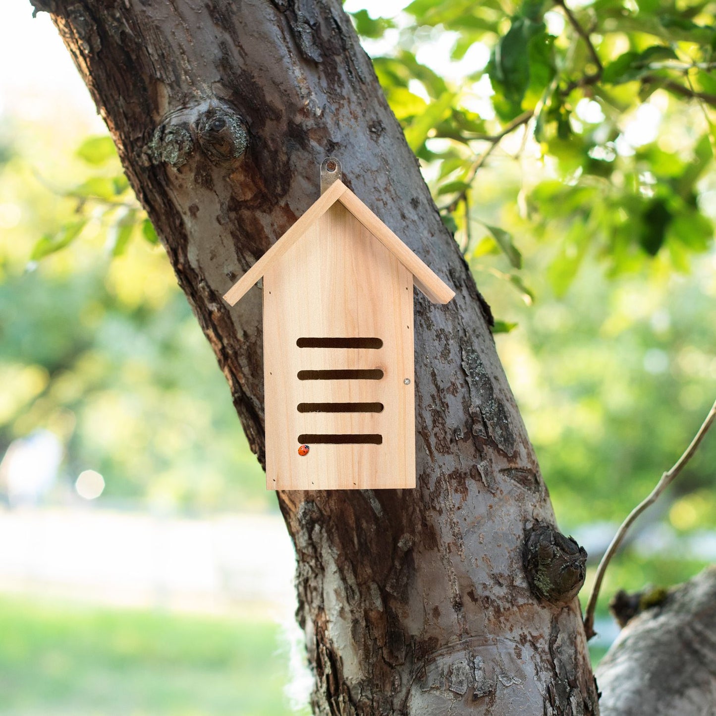 Wooden ladybug house