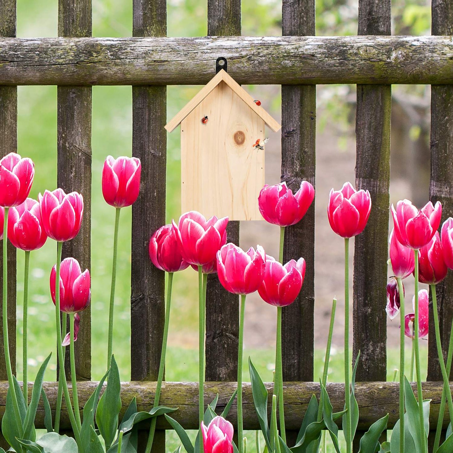Wooden ladybug house
