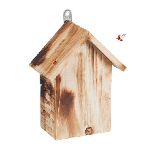 Wooden ladybug house