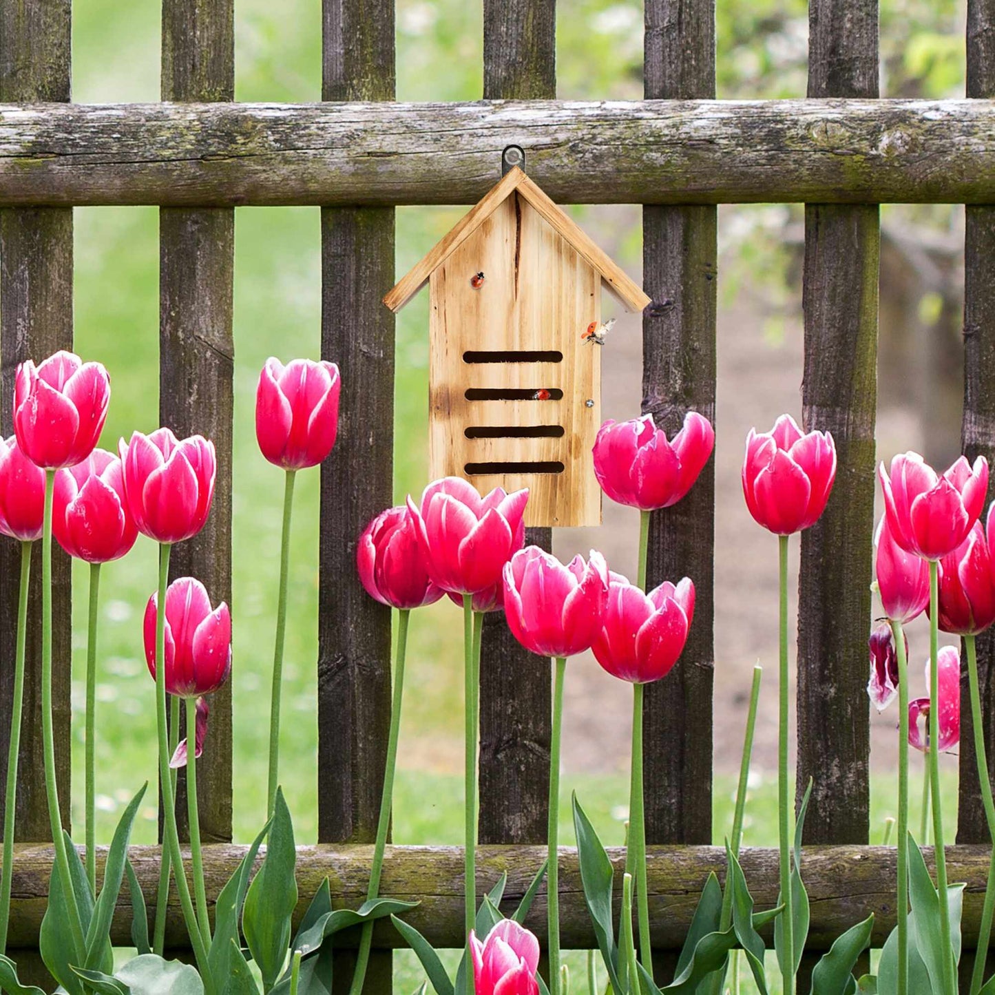 Wooden ladybug house with flames
