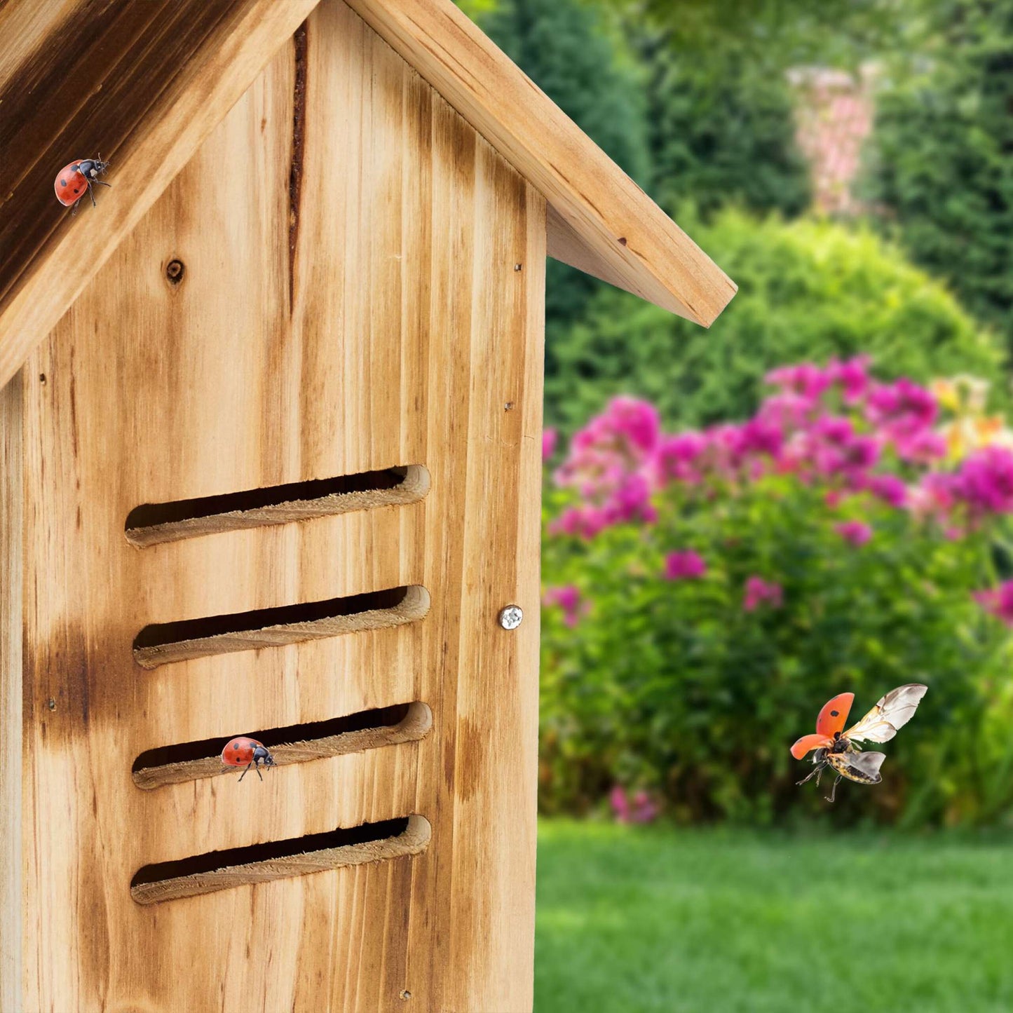 Wooden ladybug house with flames