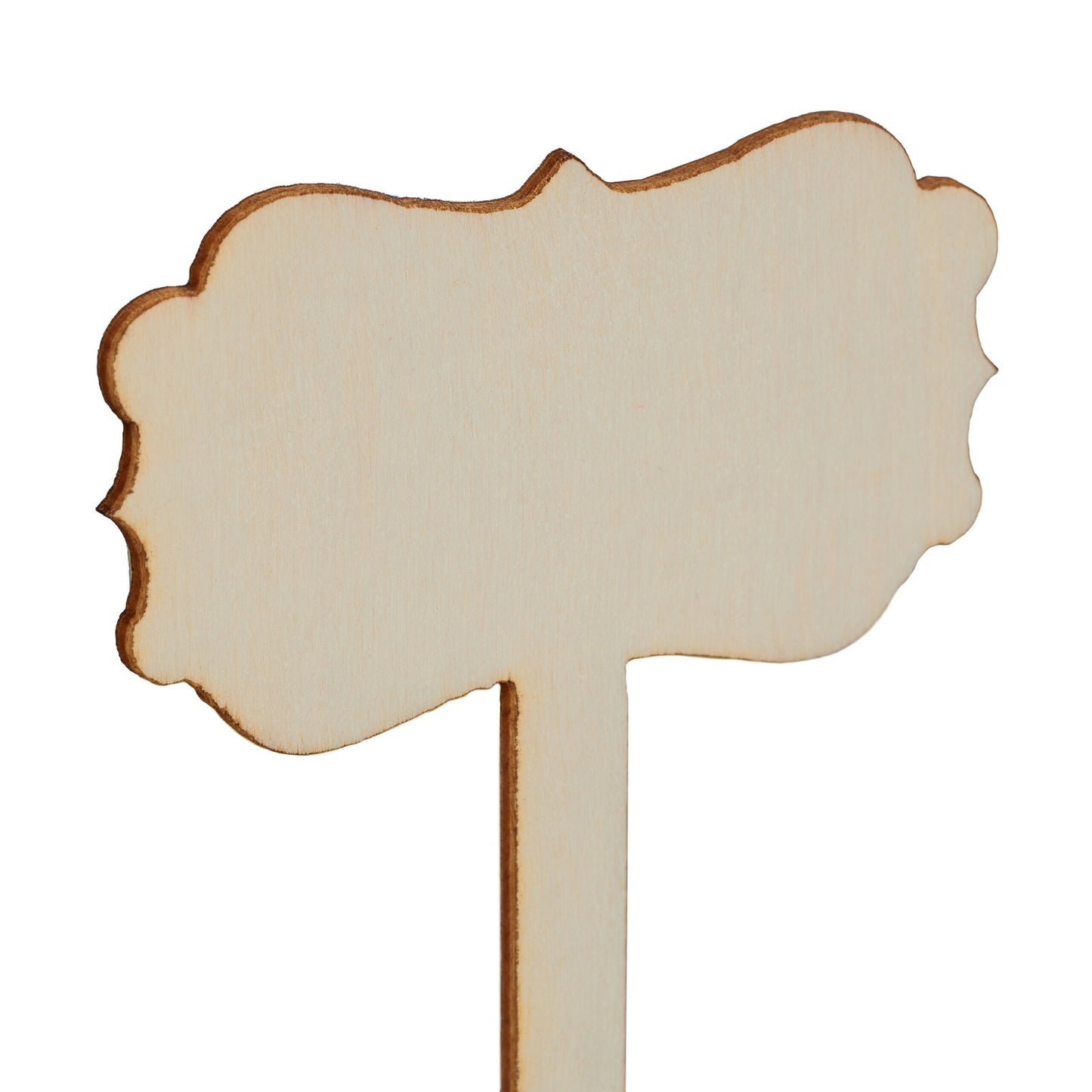 Wooden plant plugs - 100 pcs