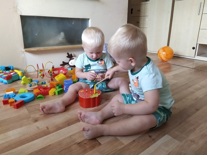 Wooden strawberry game