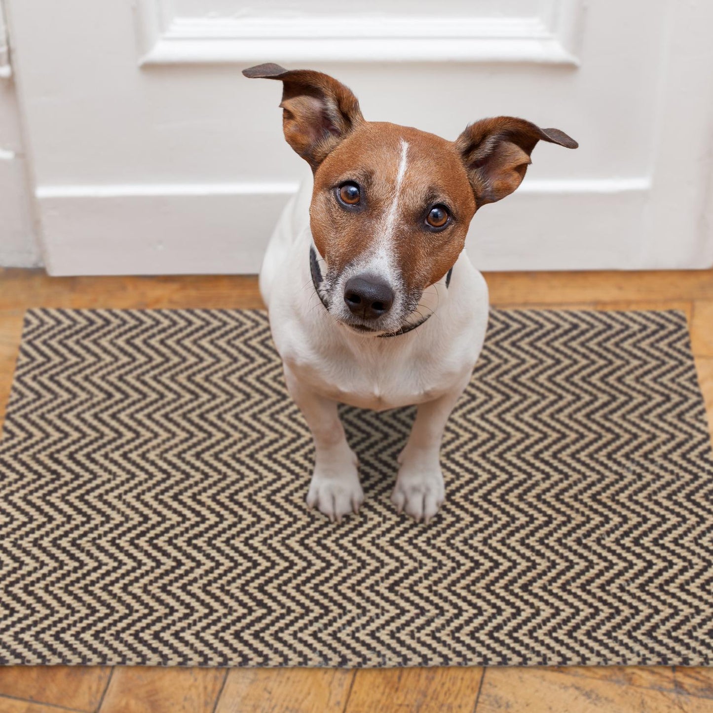 Zigzag Jute Doormat