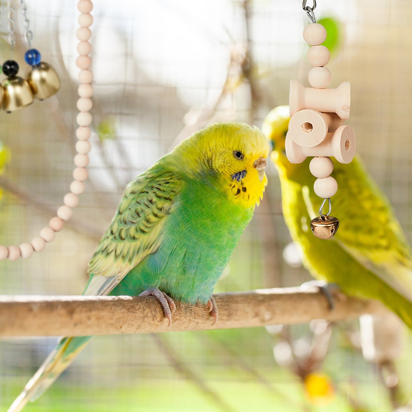 bird toy in 7 parts