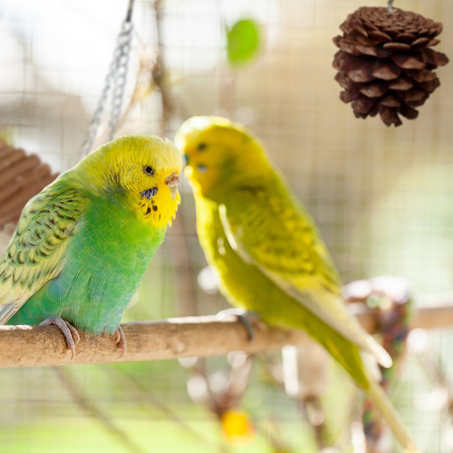 bird toy in 8 parts