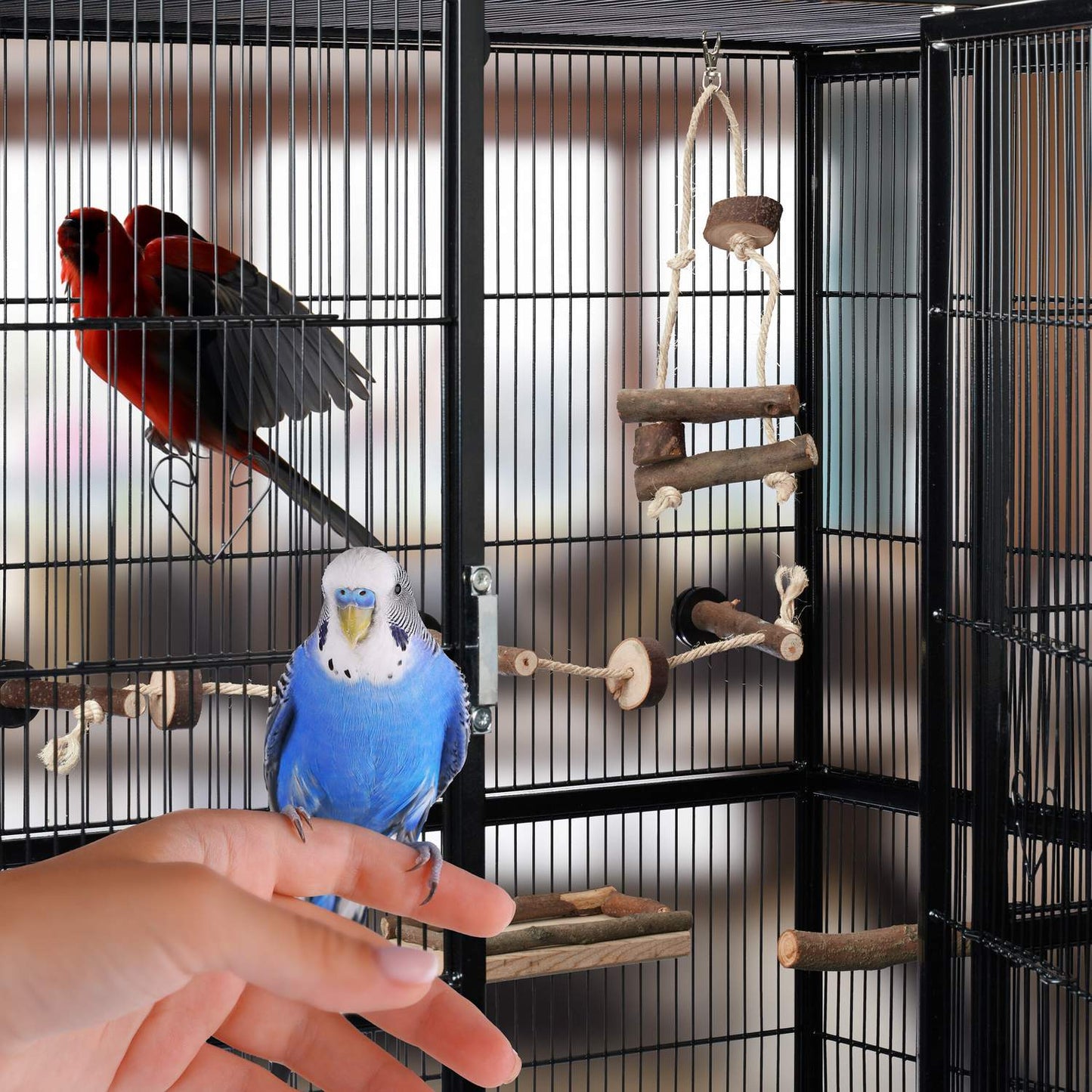 bird toy in 9 parts