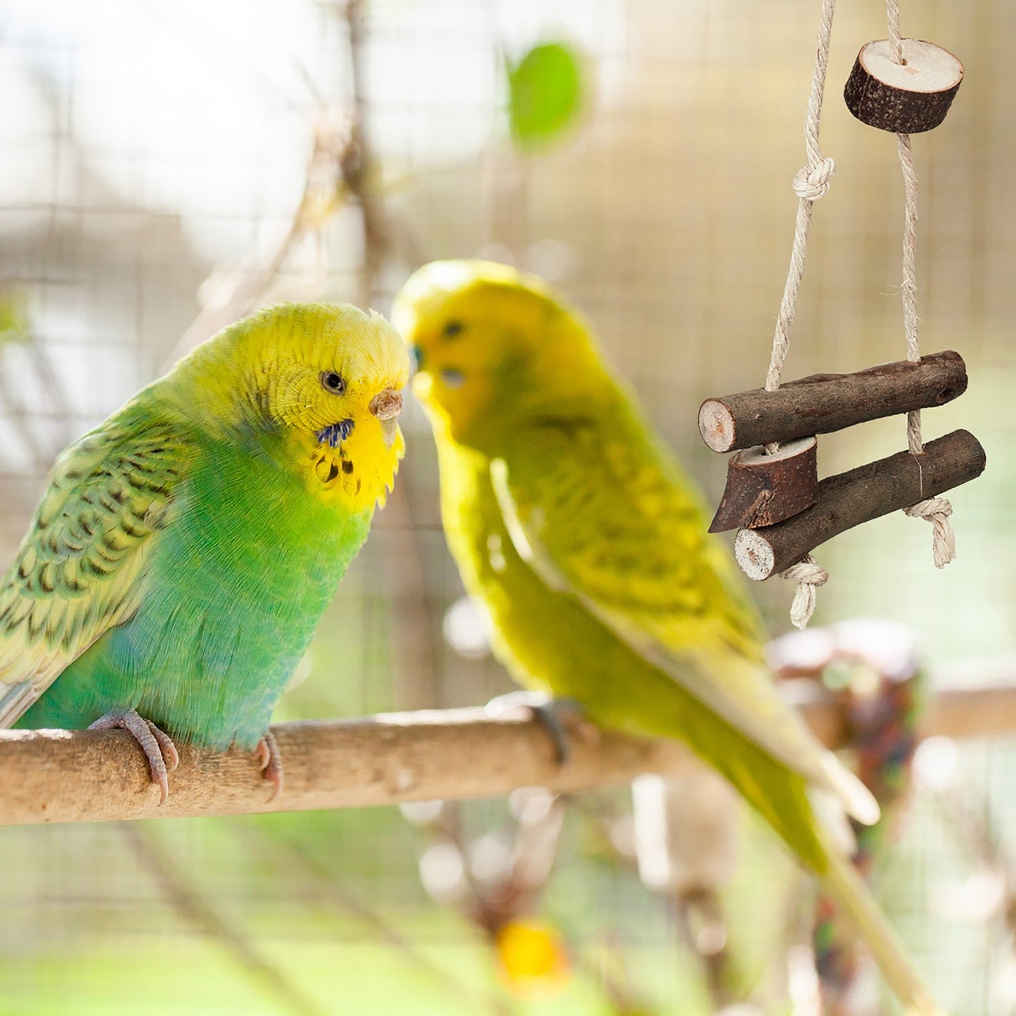 bird toy in 9 parts