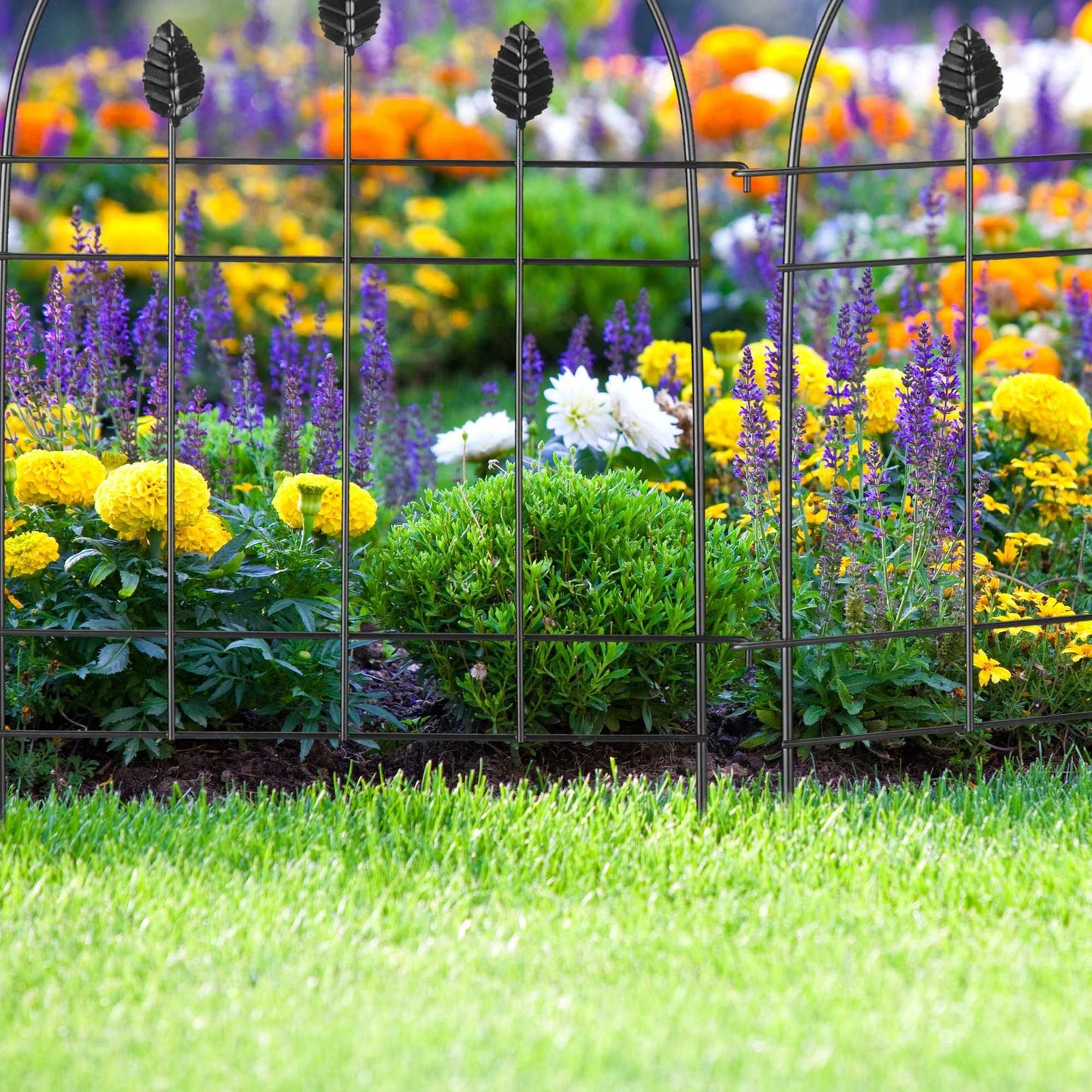 metal flower bed fence in 6 parts