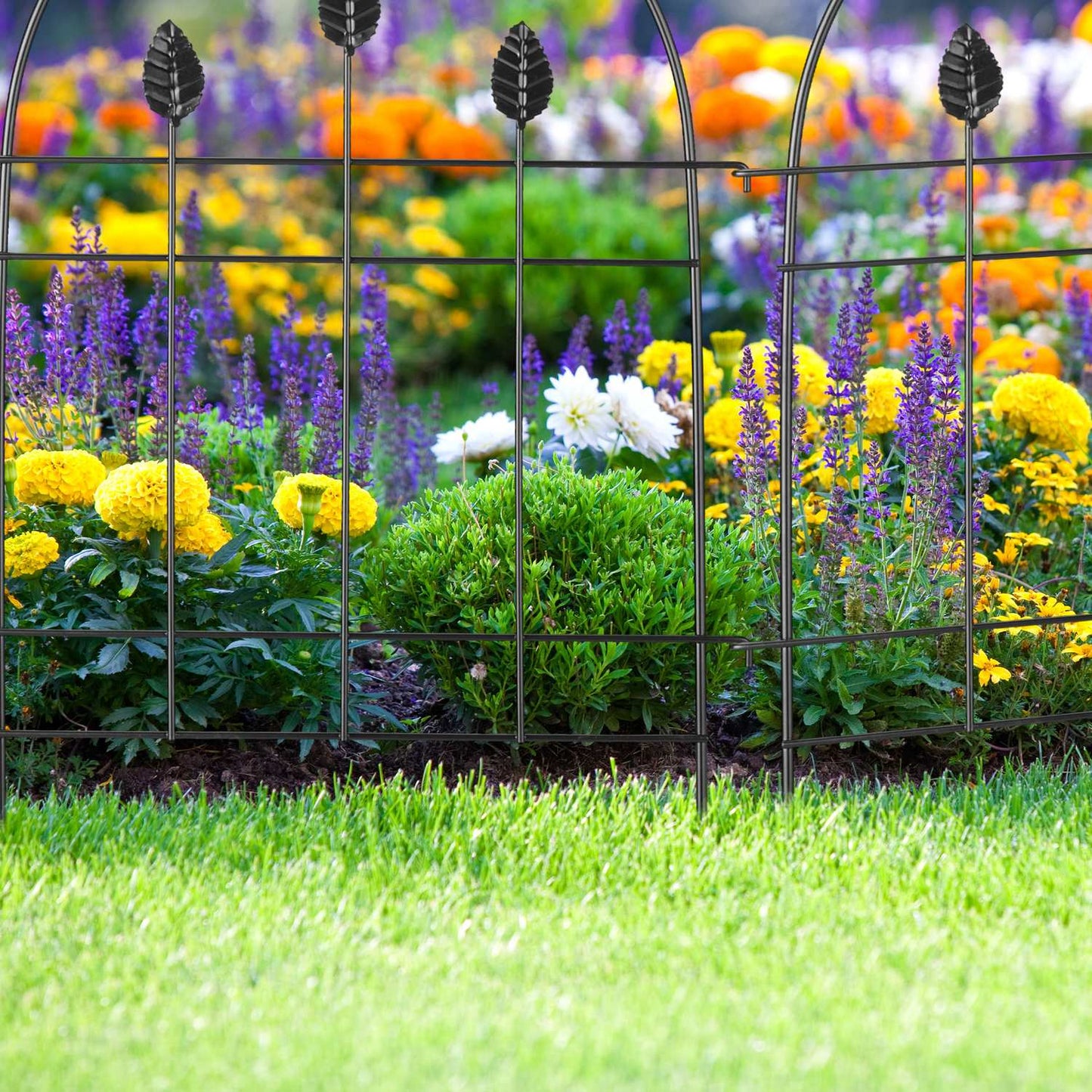 metal flower bed fence in 6 parts