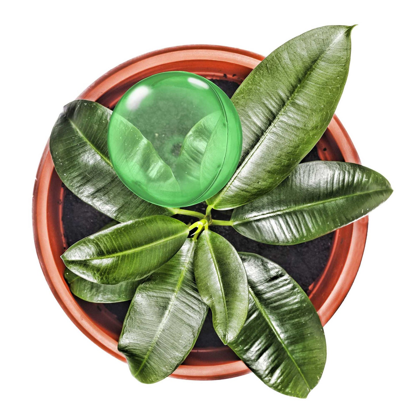 set of 9 watering balls