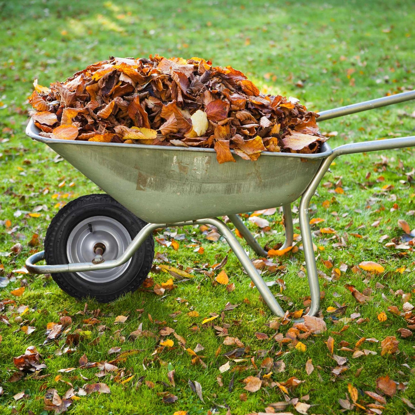 wheel set for 2 wheelbarrows with hose