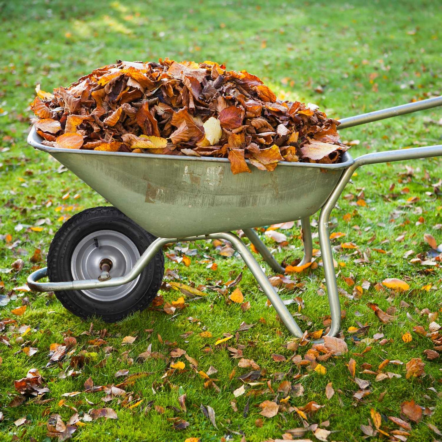 wheel set for 2 wheelbarrows with hose